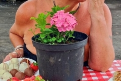Achonry Farmers Market