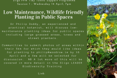 Session 1 : Low Maintenance Wildlife Friendly Planting