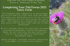 Session 6 : Completing Your Tidy Towns 2021 Entry Form