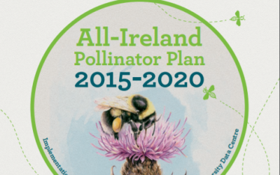 Local Communities : Actions to Help Pollinators