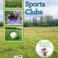 New Guidelines to make Sport Clubs more Biodiversity Friendly