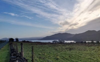 Our Rural Future: Minister Humphreys Announces New €13 Million Fund to Tackle Vacancy and Dereliction in Rural Ireland