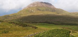 Connemara Community Native Woodland