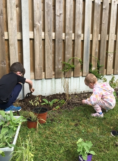 Environment Sligo PPN reports