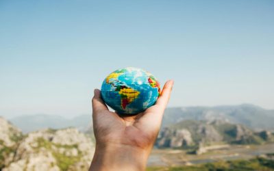 International Protection Integration Fund 2024