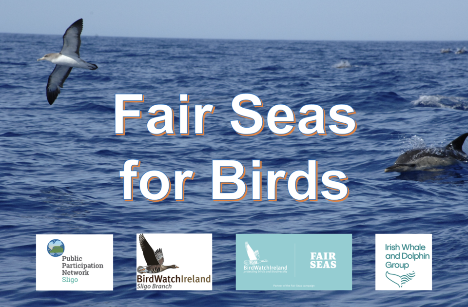 Fair Seas for Birds