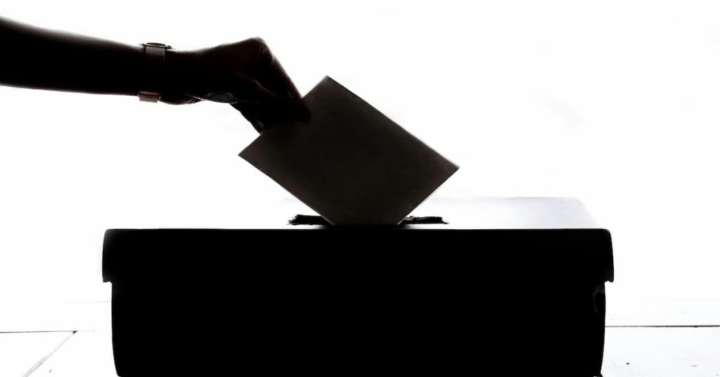 2024 elections