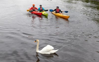 Celebration of Our Waters