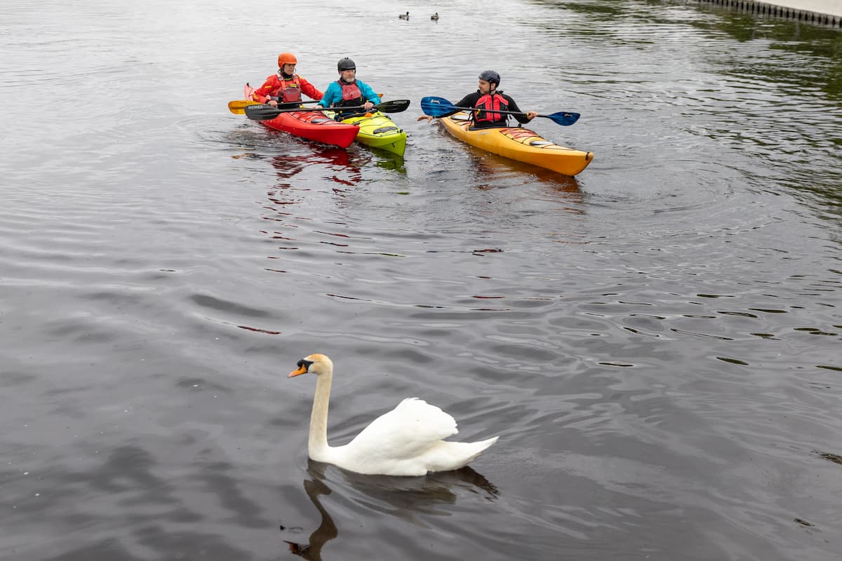 Celebration of our waters Sligo PPN