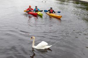 Celebration of our Waters Sligo