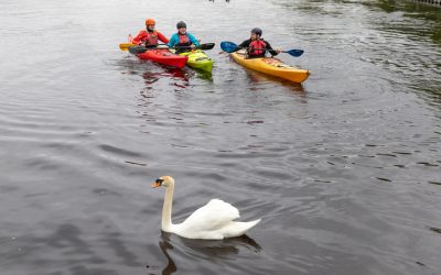 Uisce Álainn Event – Embracing the Healing Power of Water