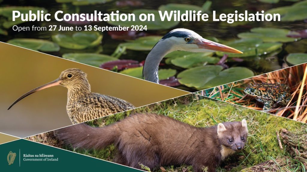 Consultation on wildlife ireland