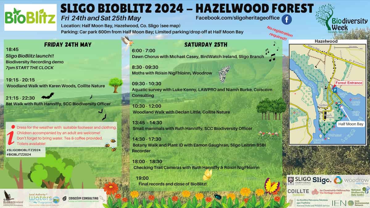 sligo bioblitz