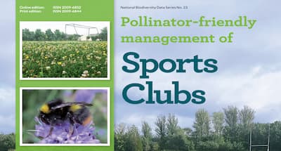 Pollinator Friendly Management of Sports Clubs