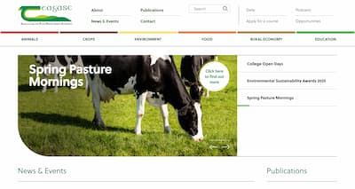 Teagasc