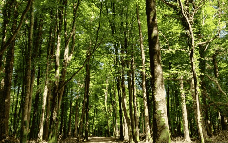 Minister Calleary announces further investment in Ireland’s walking trails and latest expansion of the Walks Scheme