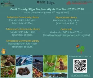County Sligo Biodiversity Action Plan 2025-2030